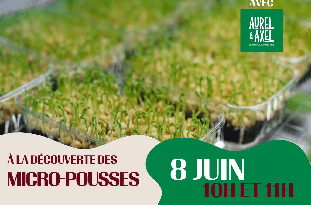 8 juin – 10h et 11h : À la découverte des micro-pousses !