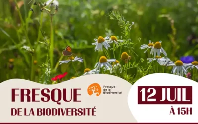 12 juillet : Fresque de la biodiversité
