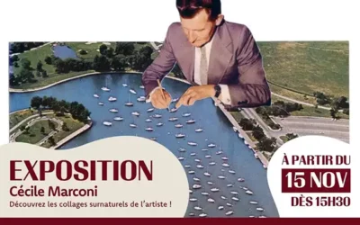 Exposition à Thionville : Collages de Cécile Marconi